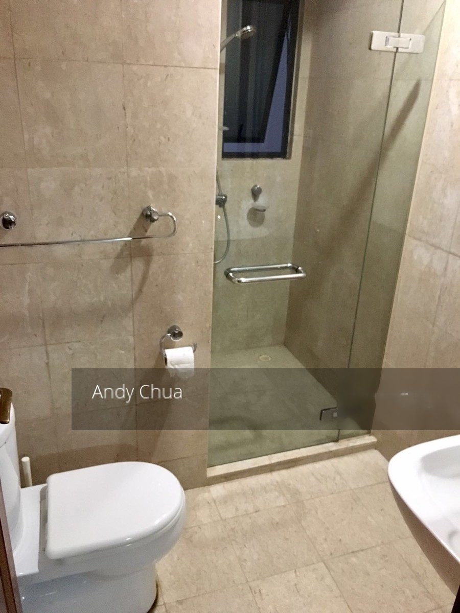 Valley Park (D10), Condominium #156687992
